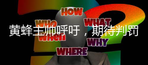黃蜂主帥呼吁，期待判罰一致性