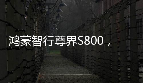 鴻蒙智行尊界S800，一款引領未來的智能座駕，預計上半年隆重上市