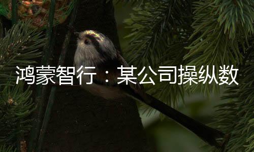 鴻蒙智行：某公司操縱數(shù)十家MCN機構(gòu)抹黑，多人被抓