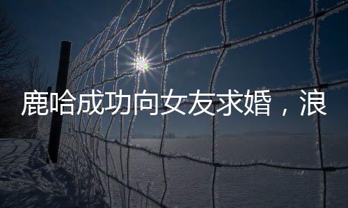 鹿哈成功向女友求婚，浪漫瞬間引爆全網(wǎng)熱議
