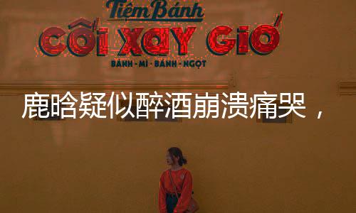鹿晗疑似醉酒崩潰痛哭，引發(fā)網(wǎng)友熱議
