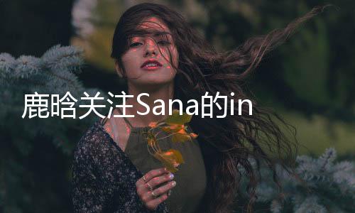 鹿晗關(guān)注Sana的ins，跨越文化與社交平臺(tái)的熱門事件揭秘