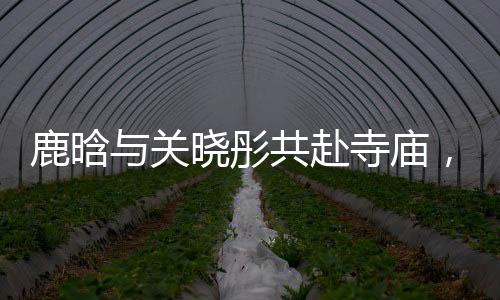 鹿晗與關曉彤共赴寺廟，探尋心靈凈土