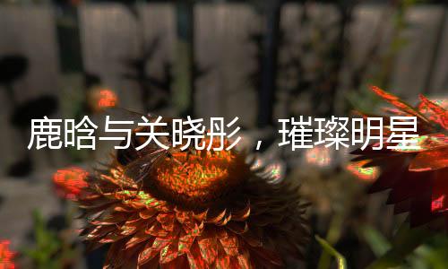 鹿晗與關曉彤，璀璨明星的浪漫碰撞——一二三四五六七八九十揭秘