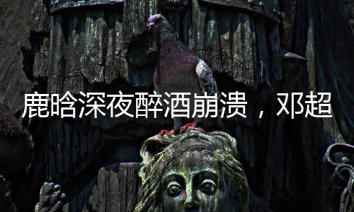 鹿晗深夜醉酒崩潰，鄧超暖心安慰，真實友情引發(fā)網(wǎng)友熱議