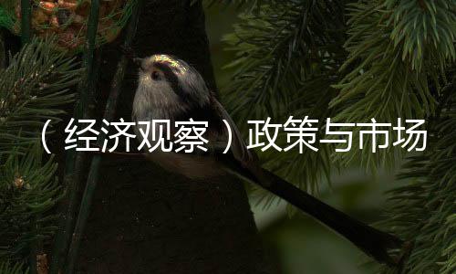 （經(jīng)濟觀察）政策與市場“雙向驅(qū)動” 科技企業(yè)并購重組“潮涌”