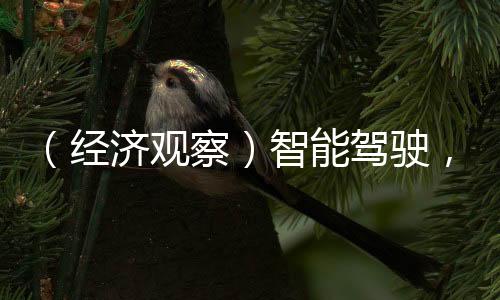（經(jīng)濟觀察）智能駕駛，中國車企的“新賽場”