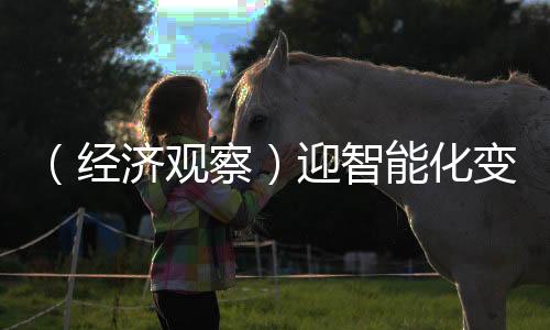 （經(jīng)濟(jì)觀察）迎智能化變局 中國(guó)車企競(jìng)爭(zhēng)轉(zhuǎn)向