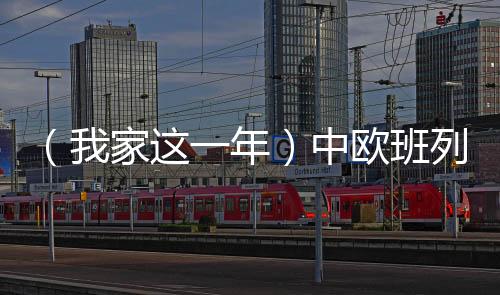 （我家這一年）中歐班列（西安）司機(jī)的跨國愛情