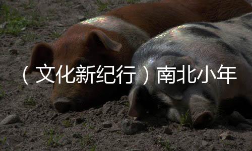 （文化新紀(jì)行）南北小年為何“打開方式”不同？