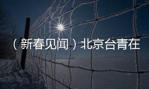 （新春見聞）北京臺(tái)青在“鼓舞”中迎接新年