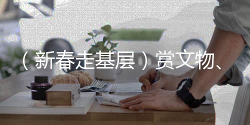 （新春走基層）賞文物、尋“小龍” 游客涌入博物館“拜年”