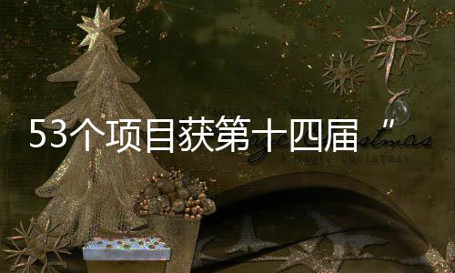 53個項目獲第十四屆“吳文俊人工智能科學技術(shù)獎”