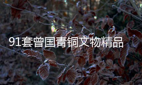 91套曾國(guó)青銅文物精品亮相廣西南寧