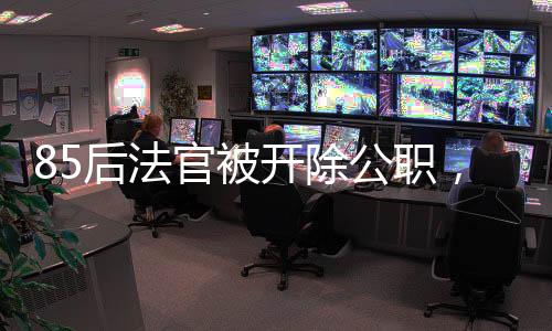 85后法官被開除公職，職業(yè)倫理與道德底線的警示