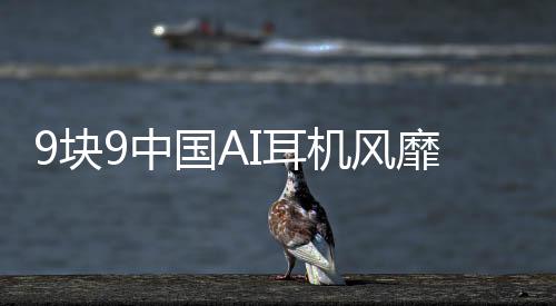 9塊9中國AI耳機風(fēng)靡全球，老外爭相搶購