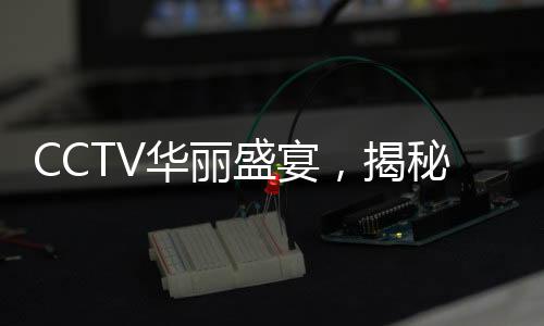 CCTV華麗盛宴，揭秘燈火璀璨之夜——2025央視元宵晚會背后的故事