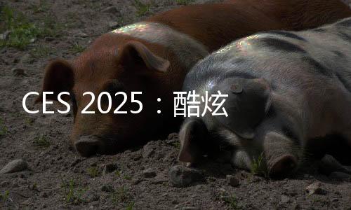 CES 2025：酷炫！聯(lián)想發(fā)布世界首臺卷軸屏筆記本ThinkBook Plus Gen 6 Rol