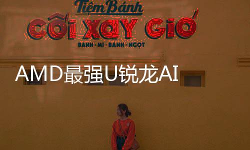 AMD最強U銳龍AI Max+ 395內(nèi)核照 GPU面積大得恐怖