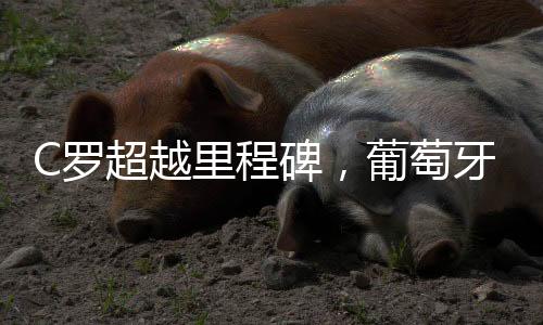 C羅超越里程碑，葡萄牙之魂的榮耀百戰(zhàn)場