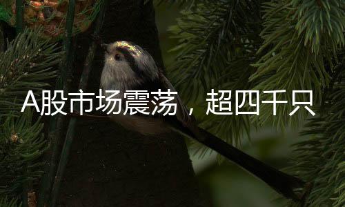 A股市場震蕩，超四千只股票遭遇下跌潮