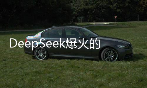 DeepSeek爆火的啟示，洞悉熱門背后的多重因素與發(fā)展前景
