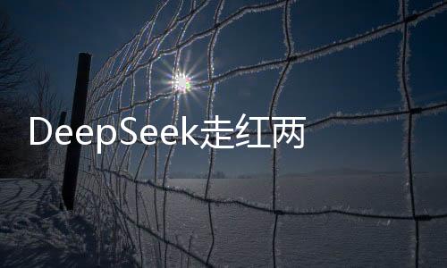 DeepSeek走紅兩會(huì)，神秘的回應(yīng)背后的故事