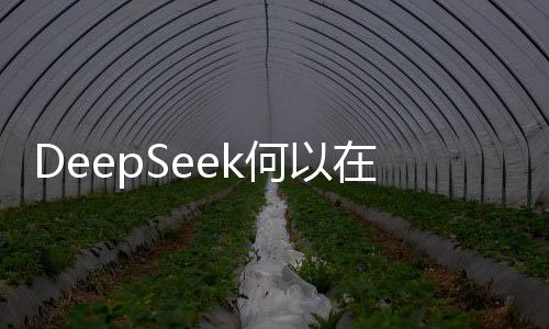 DeepSeek何以在AI賽道上實現(xiàn)突圍？