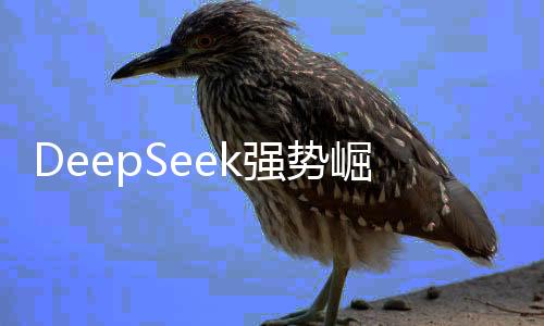 DeepSeek強勢崛起，挑戰(zhàn)英偉達市值之巔——一覽四兆三風(fēng)華的挑戰(zhàn)者之戰(zhàn)