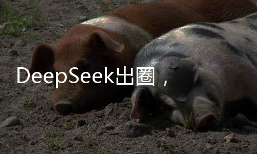 DeepSeek出圈，概念股曝光，引領(lǐng)新一輪科技熱潮