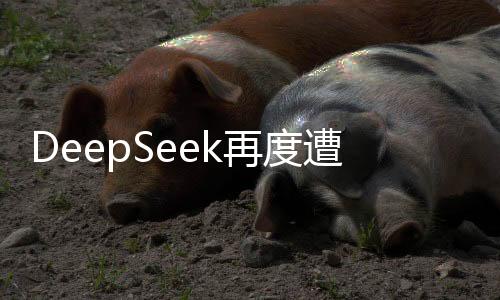 DeepSeek再度遭遇宕機故障，從分析與反思出發(fā)