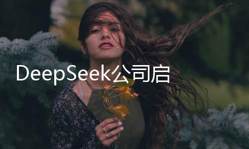 DeepSeek公司啟動(dòng)實(shí)習(xí)生招募計(jì)劃，日薪最高達(dá)上千，實(shí)習(xí)機(jī)遇無(wú)限等你來(lái)挑戰(zhàn)！