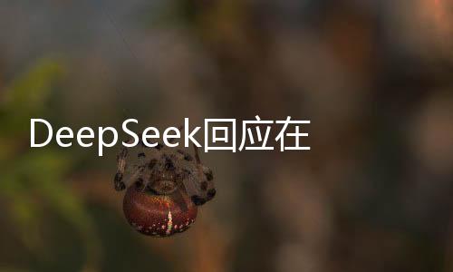 DeepSeek回應(yīng)在兩會走紅，嘿嘿