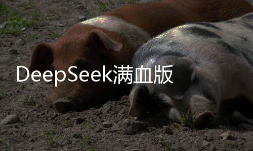DeepSeek滿血版，全新升級，引領(lǐng)科技新紀(jì)元