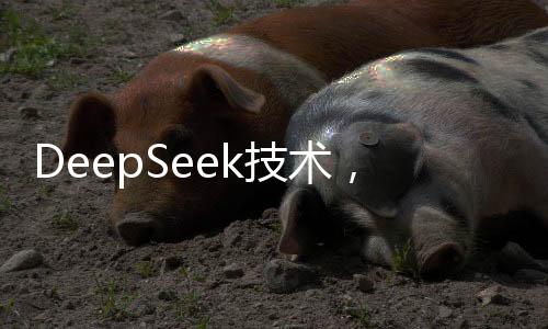 DeepSeek技術，醫(yī)生的新伙伴，助力醫(yī)療領域邁向新高度