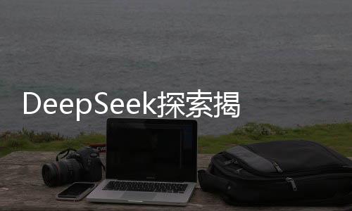 DeepSeek探索揭秘之旅，小力背后的奇跡締造者