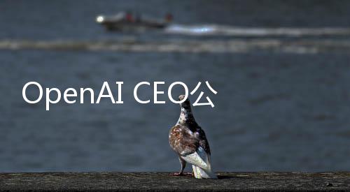 OpenAI CEO公開(kāi)否認(rèn)將起訴DeepSeek，揭示AI技術(shù)發(fā)展新動(dòng)向