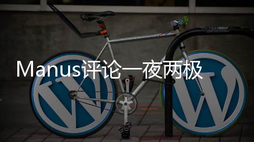 Manus評論一夜兩極分化，一場意見的風(fēng)暴分析
