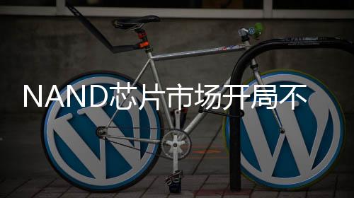 NAND芯片市場開局不利，行業(yè)面臨嚴(yán)峻挑戰(zhàn)