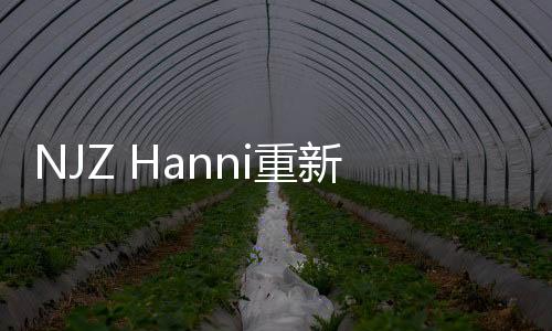 NJZ Hanni重新獲得簽證 非法滯留爭(zhēng)議解決
