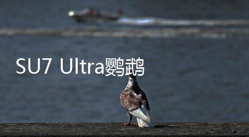 SU7 Ultra鸚鵡綠官圖發(fā)布，今晚上市，引領(lǐng)科技新潮流
