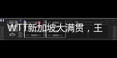 WTT新加坡大滿貫，王曼昱勝梅謝芙——乒乓新星閃耀賽場(chǎng)