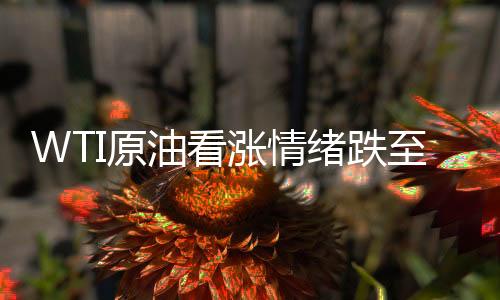 WTI原油看漲情緒跌至十四年新低，市場分析與展望