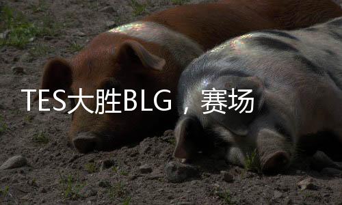 TES大勝BLG，賽場(chǎng)精英再現(xiàn)輝煌