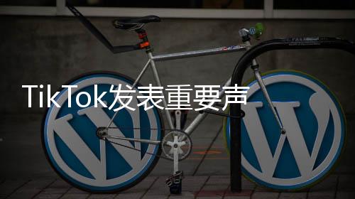TikTok發(fā)表重要聲明，更新未來戰(zhàn)略方向及用戶權益保障措施