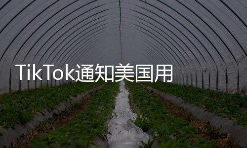 TikTok通知美國用戶將暫停服務，一項決策的背后及其深遠影響分析