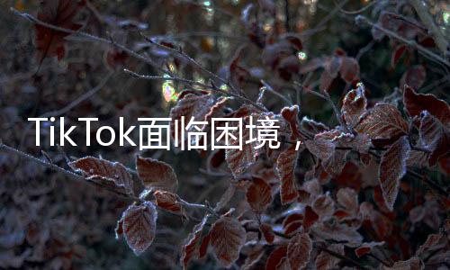 TikTok面臨困境，白宮無保證，平臺(tái)只能關(guān)閉——一場(chǎng)沒有贏家的博弈