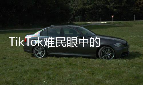 TikTok難民眼中的中國網(wǎng)友，熱情無限，友情滿懷