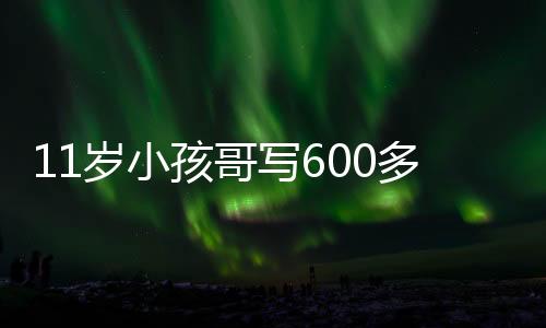 11歲小孩哥寫600多行代碼造火箭火了：自學(xué)編程、物理化學(xué)