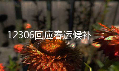 12306回應(yīng)春運候補(bǔ)文學(xué)，服務(wù)升級助力旅客出行